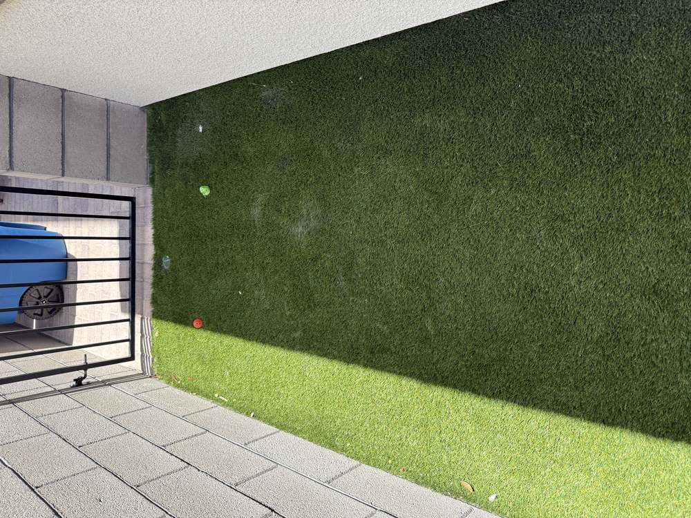 Clean Las Vegas yard after a Poop Scoop Dude visit