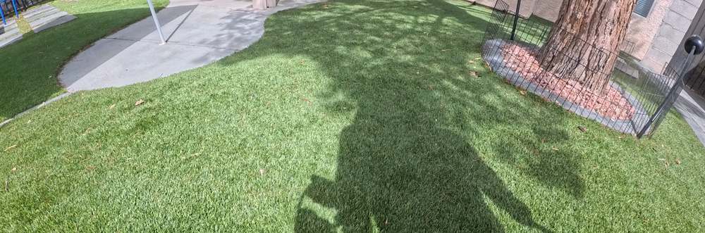 Clean Las Vegas yard after a Poop Scoop Dude visit