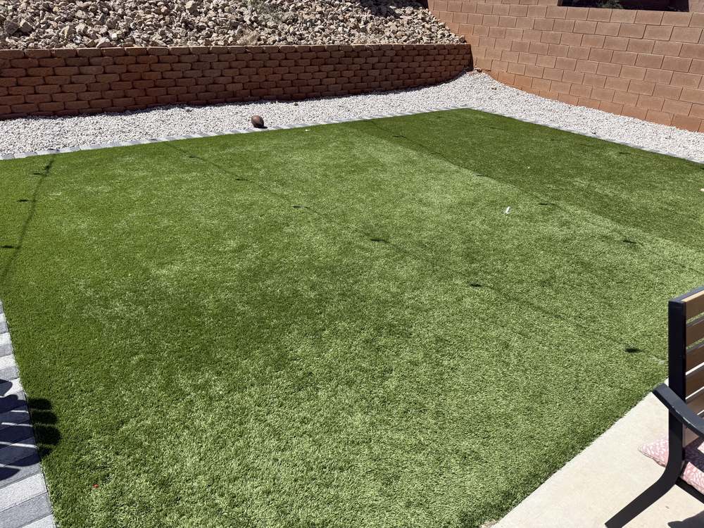 Clean Las Vegas yard after a Poop Scoop Dude visit