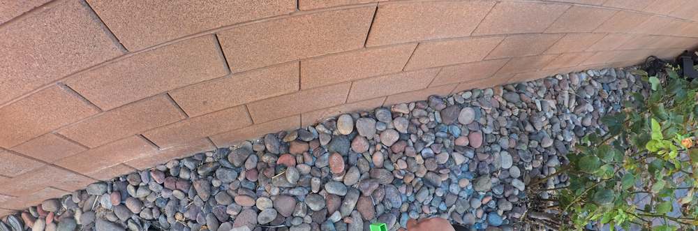 Clean Las Vegas yard after a Poop Scoop Dude visit