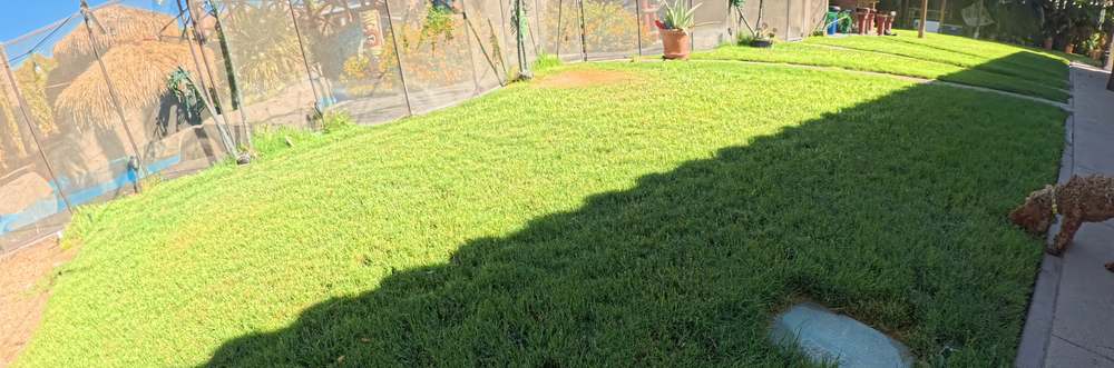 Clean Las Vegas yard after a Poop Scoop Dude visit