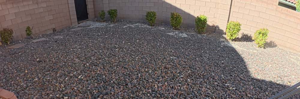 Clean Las Vegas yard after a Poop Scoop Dude visit