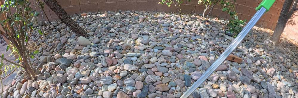 Clean Las Vegas yard after a Poop Scoop Dude visit