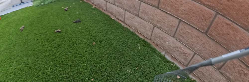 Clean Las Vegas yard after a Poop Scoop Dude visit