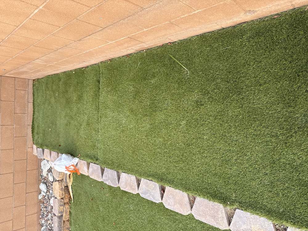 Clean Las Vegas yard after a Poop Scoop Dude visit