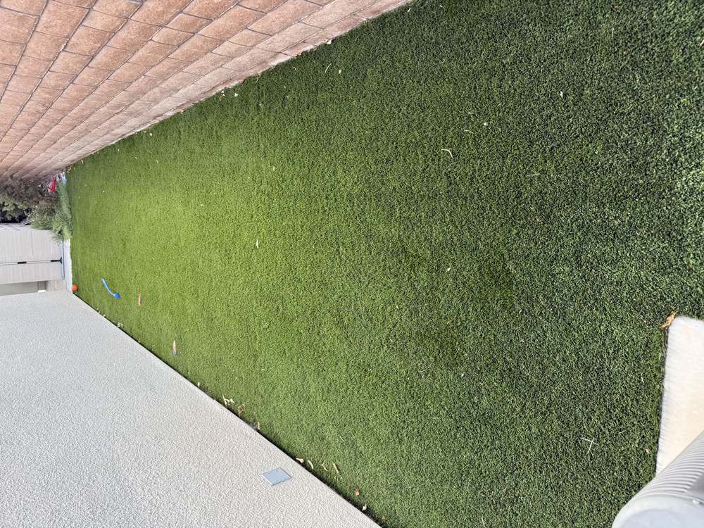 Clean Las Vegas yard after a Poop Scoop Dude visit