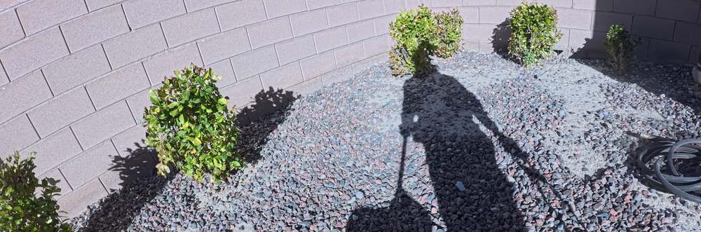 Clean Las Vegas yard after a Poop Scoop Dude visit