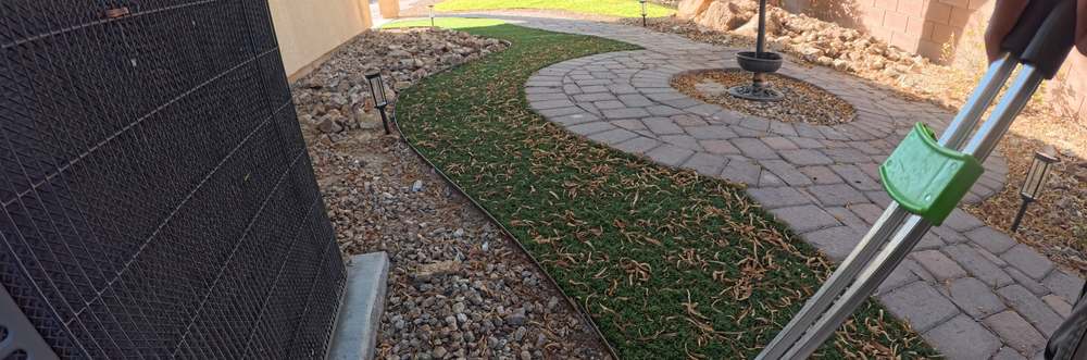 Clean Las Vegas yard after a Poop Scoop Dude visit