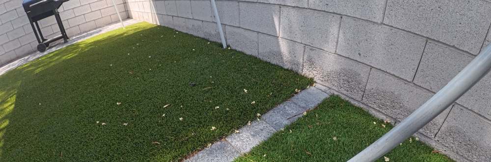Clean Las Vegas yard after a Poop Scoop Dude visit