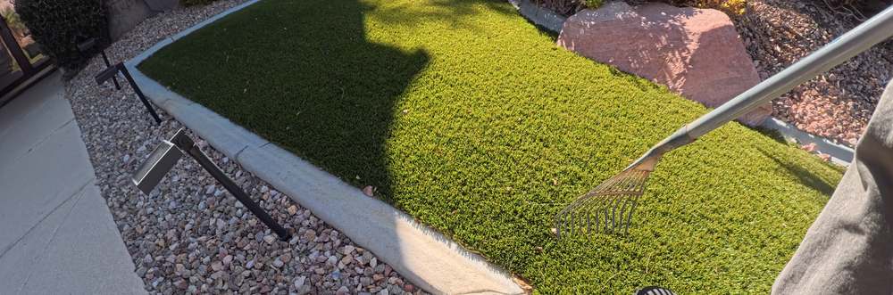 Clean Las Vegas yard after a Poop Scoop Dude visit