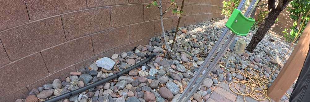 Clean Las Vegas yard after a Poop Scoop Dude visit