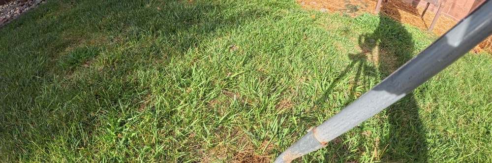 Clean Las Vegas yard after a Poop Scoop Dude visit