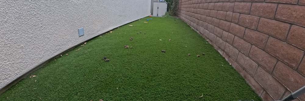 Clean Las Vegas yard after a Poop Scoop Dude visit