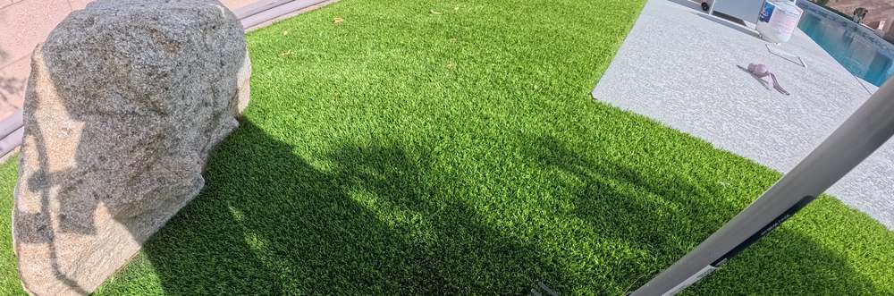 Clean Las Vegas yard after a Poop Scoop Dude visit