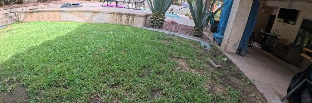 Clean Las Vegas yard after a Poop Scoop Dude visit