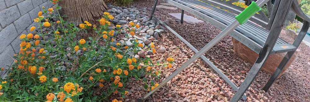 Clean Las Vegas yard after a Poop Scoop Dude visit
