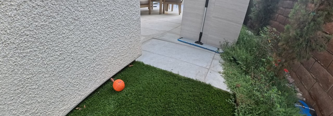 Clean Las Vegas yard after a Poop Scoop Dude visit