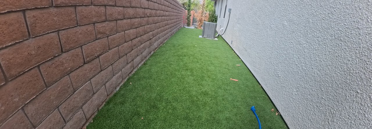 Clean Las Vegas yard after a Poop Scoop Dude visit