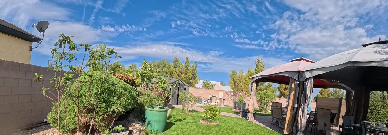 Clean Las Vegas yard after a Poop Scoop Dude visit