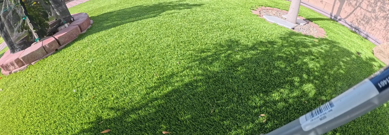 Clean Las Vegas yard after a Poop Scoop Dude visit