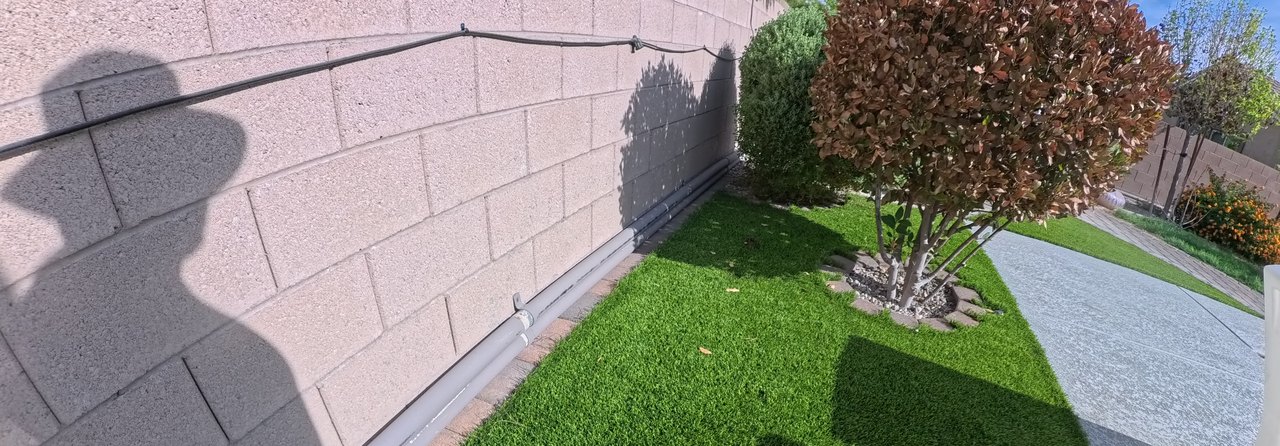 Clean Las Vegas yard after a Poop Scoop Dude visit