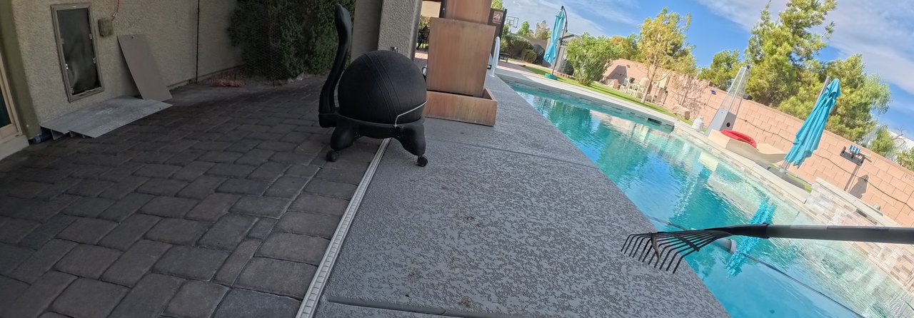 Clean Las Vegas yard after a Poop Scoop Dude visit