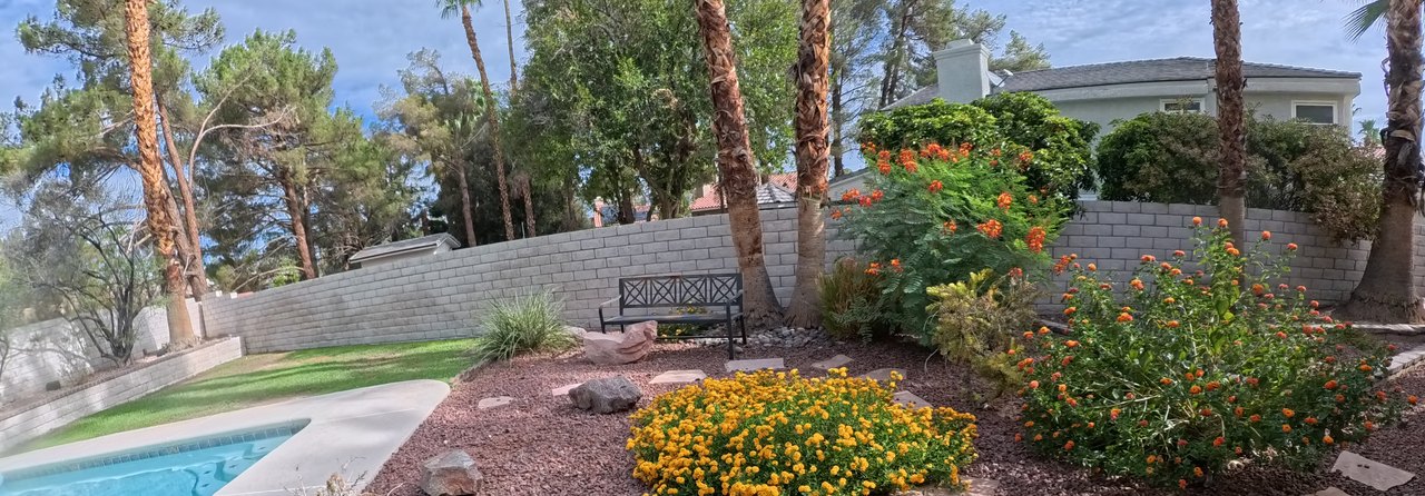 Clean Las Vegas yard after a Poop Scoop Dude visit