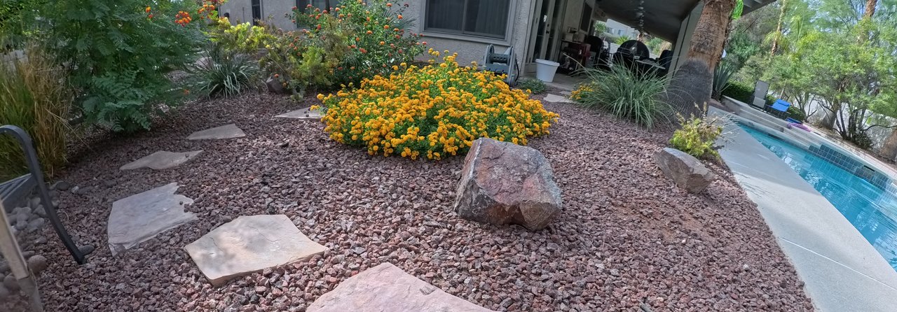 Clean Las Vegas yard after a Poop Scoop Dude visit