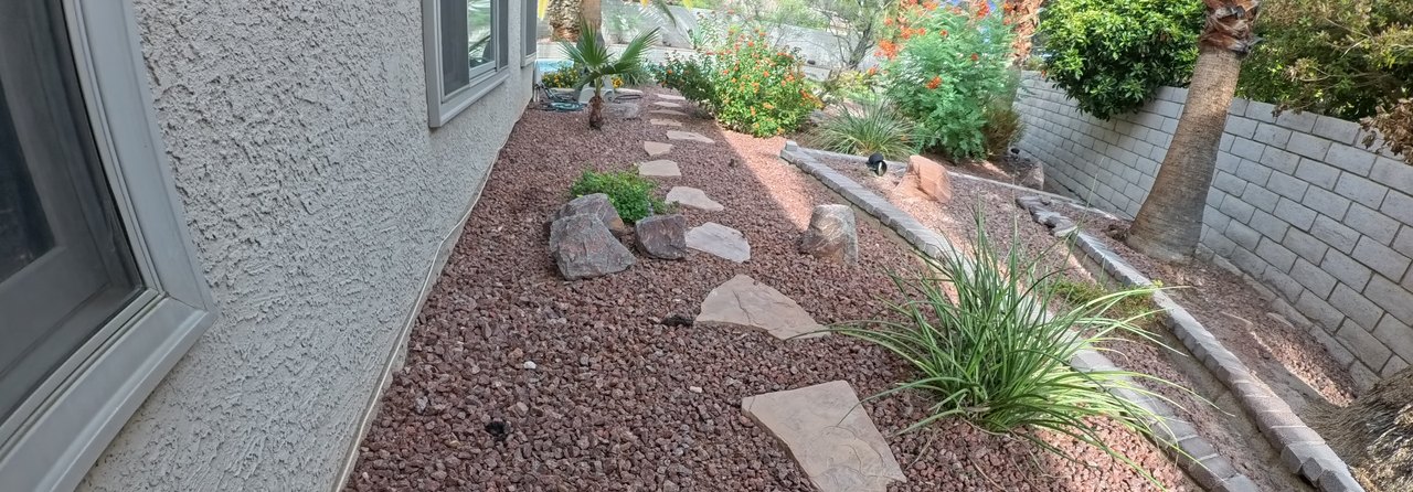Clean Las Vegas yard after a Poop Scoop Dude visit