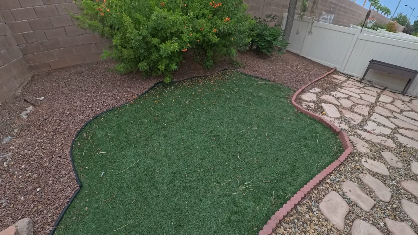 The same backyard turf patch photographed from the same spot, completely clear.