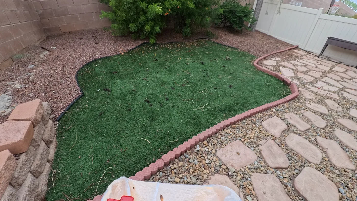 A backyard turf patch with dog waste across it, photographed before the visit.
