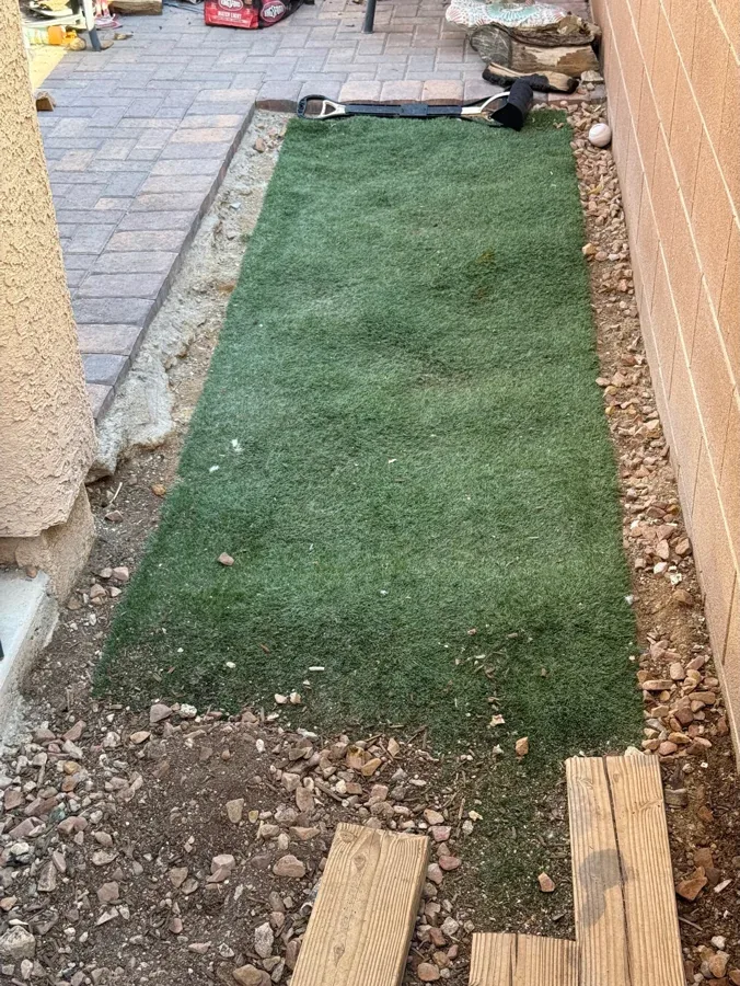The same strip of turf photographed from the same spot, completely clear.