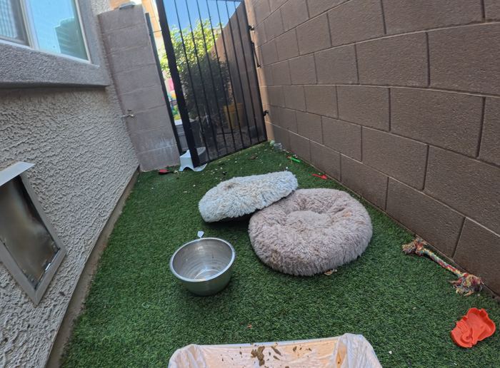 Clean Las Vegas yard after a Poop Scoop Dude visit