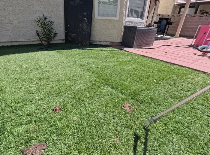 Las Vegas yard before a Poop Scoop Dude cleanup