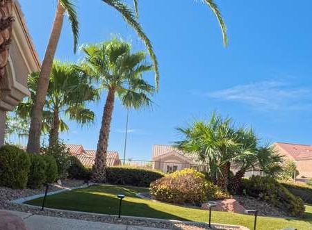 Clean Las Vegas yard after a Poop Scoop Dude visit