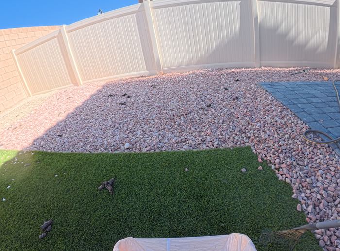 Las Vegas yard before a Poop Scoop Dude cleanup