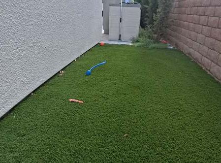 Clean Las Vegas yard after a Poop Scoop Dude visit