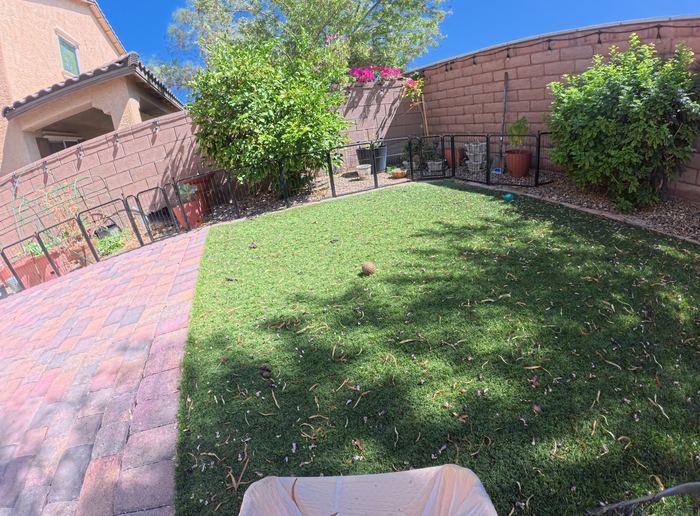 Las Vegas yard before a Poop Scoop Dude cleanup