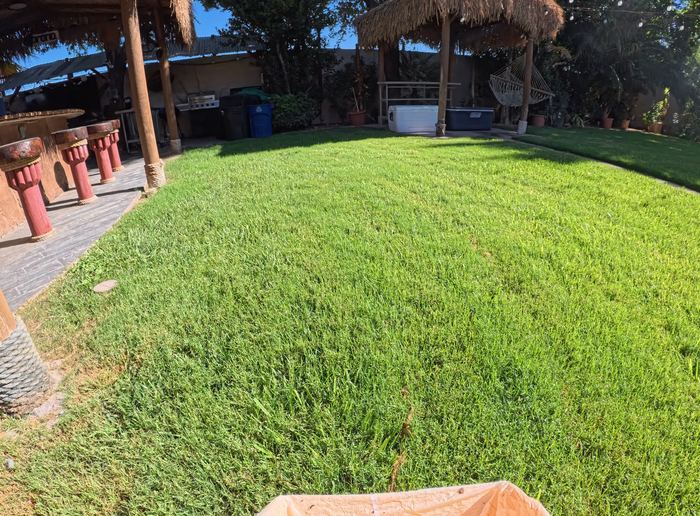 Clean Las Vegas yard after a Poop Scoop Dude visit
