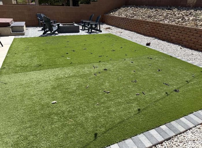 Clean Las Vegas yard after a Poop Scoop Dude visit
