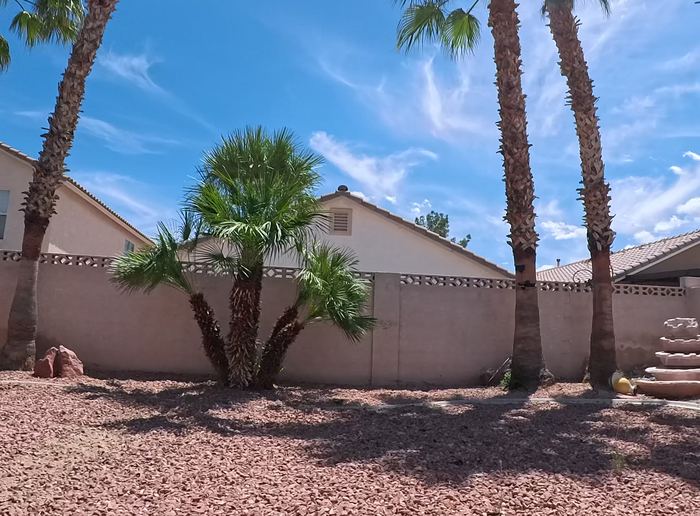Clean Las Vegas yard after a Poop Scoop Dude visit