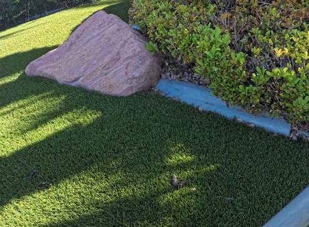 Clean Las Vegas yard after a Poop Scoop Dude visit