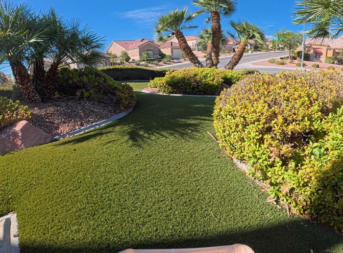 Clean Las Vegas yard after a Poop Scoop Dude visit