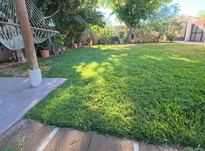 Clean Las Vegas yard after a Poop Scoop Dude visit