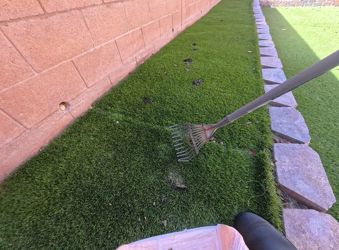 Las Vegas yard before a Poop Scoop Dude cleanup