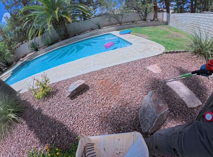 Clean Las Vegas yard after a Poop Scoop Dude visit