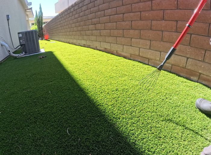 Las Vegas yard before a Poop Scoop Dude cleanup