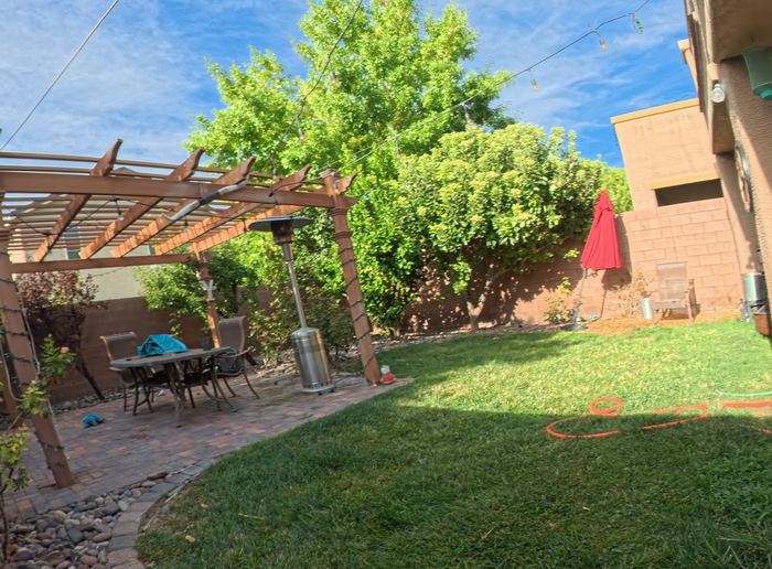 Clean Las Vegas yard after a Poop Scoop Dude visit