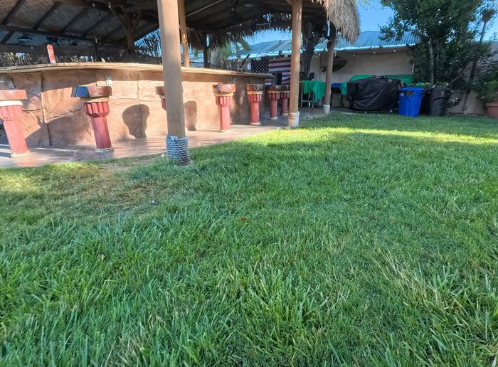 Clean Las Vegas yard after a Poop Scoop Dude visit