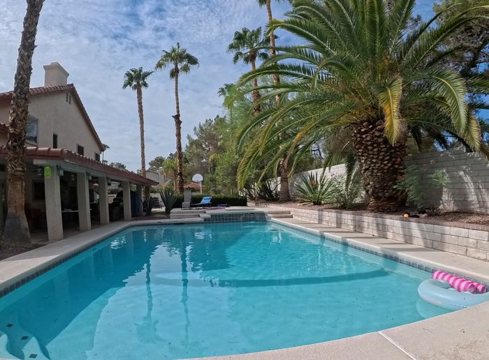 Clean Las Vegas yard after a Poop Scoop Dude visit